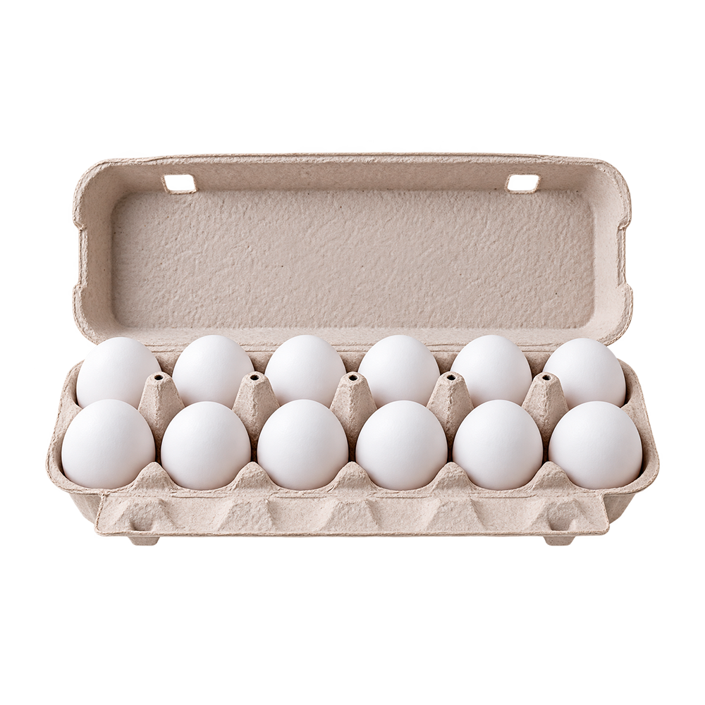 Fresh Duck Eggs