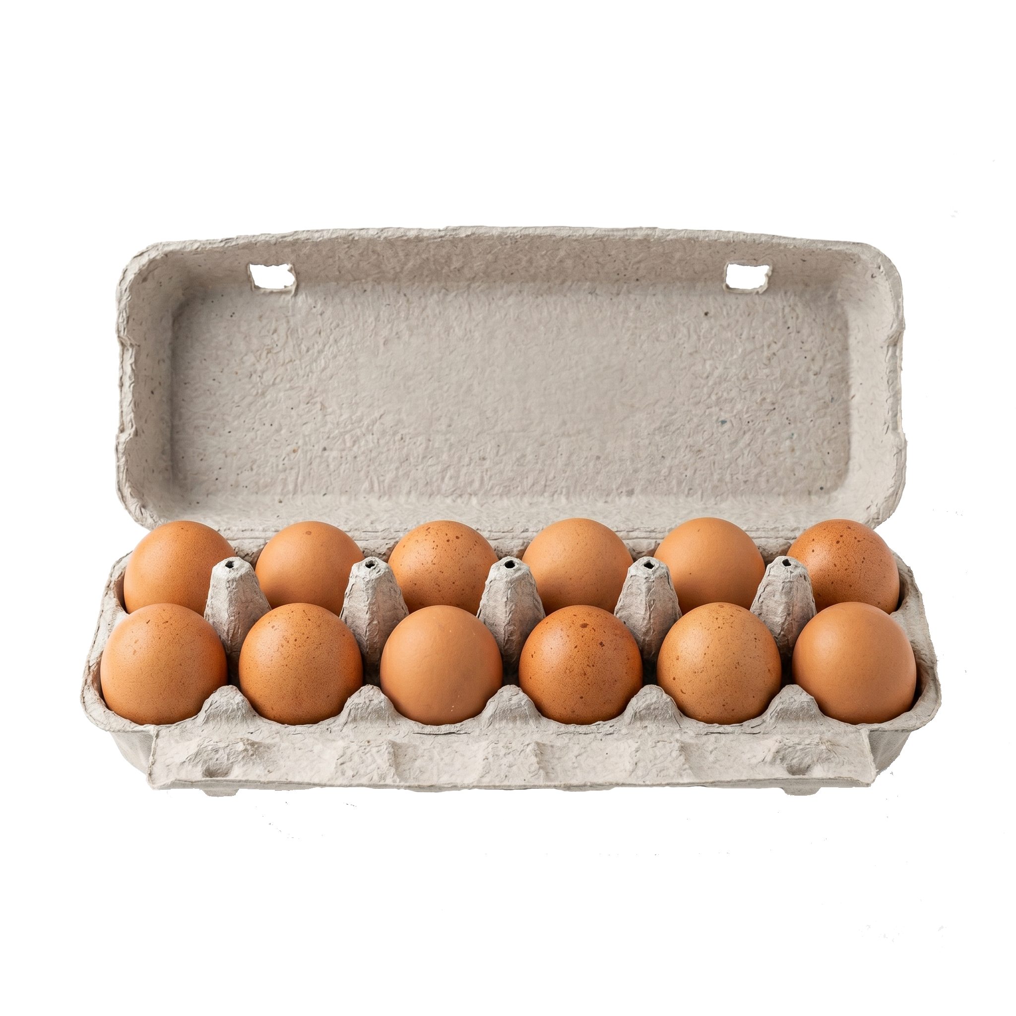 12 Chicken Eggs