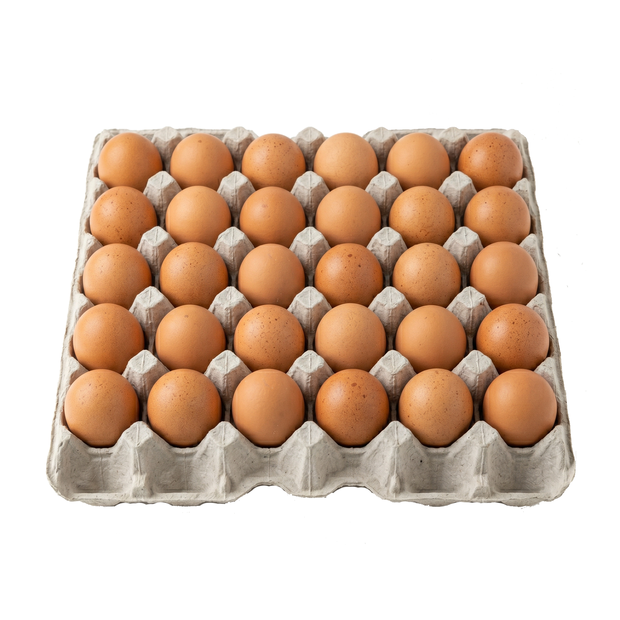 30 Chicken Eggs